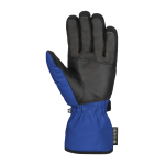 REUSCH MORRIS GORE-TEX vyriškos slidinėjimo pirštinės